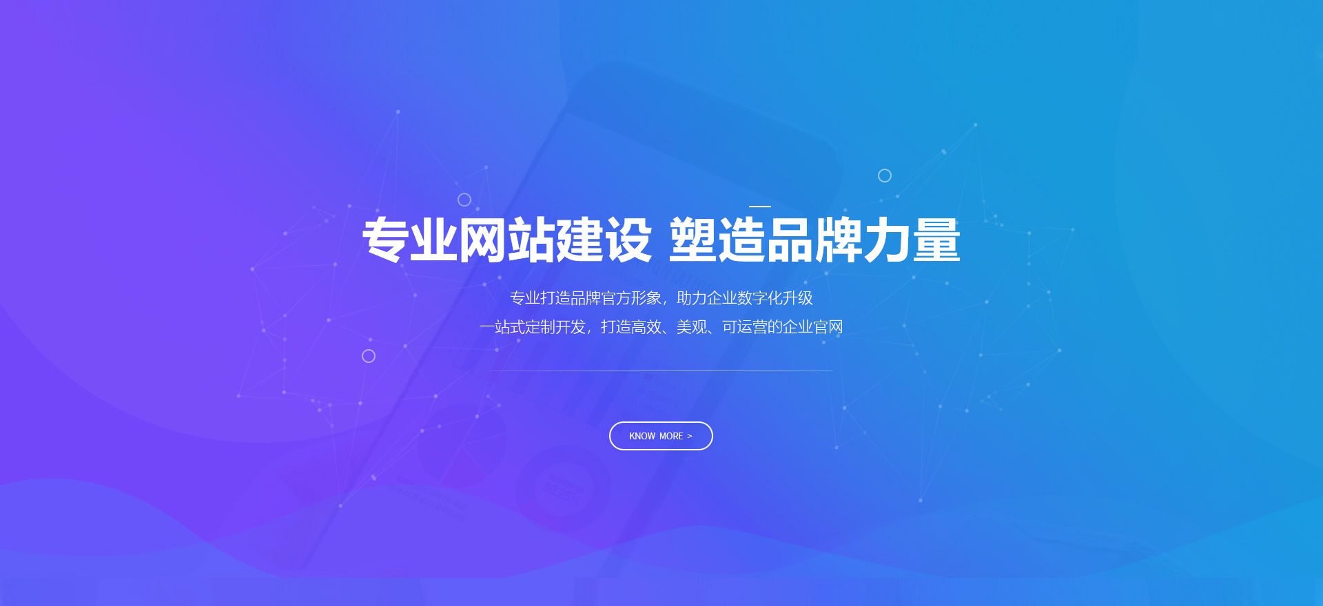 盐城建站-专业网站建设 塑造品牌力量