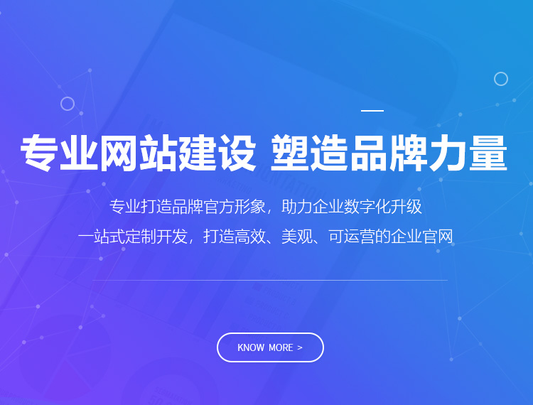 盐城建站-专业网站建设 塑造品牌力量